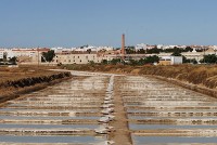 /album/salinicultura1/dsc-3640-copy-jpg/